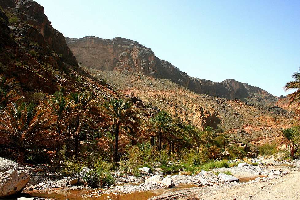 2010-03_Oman_1132_c